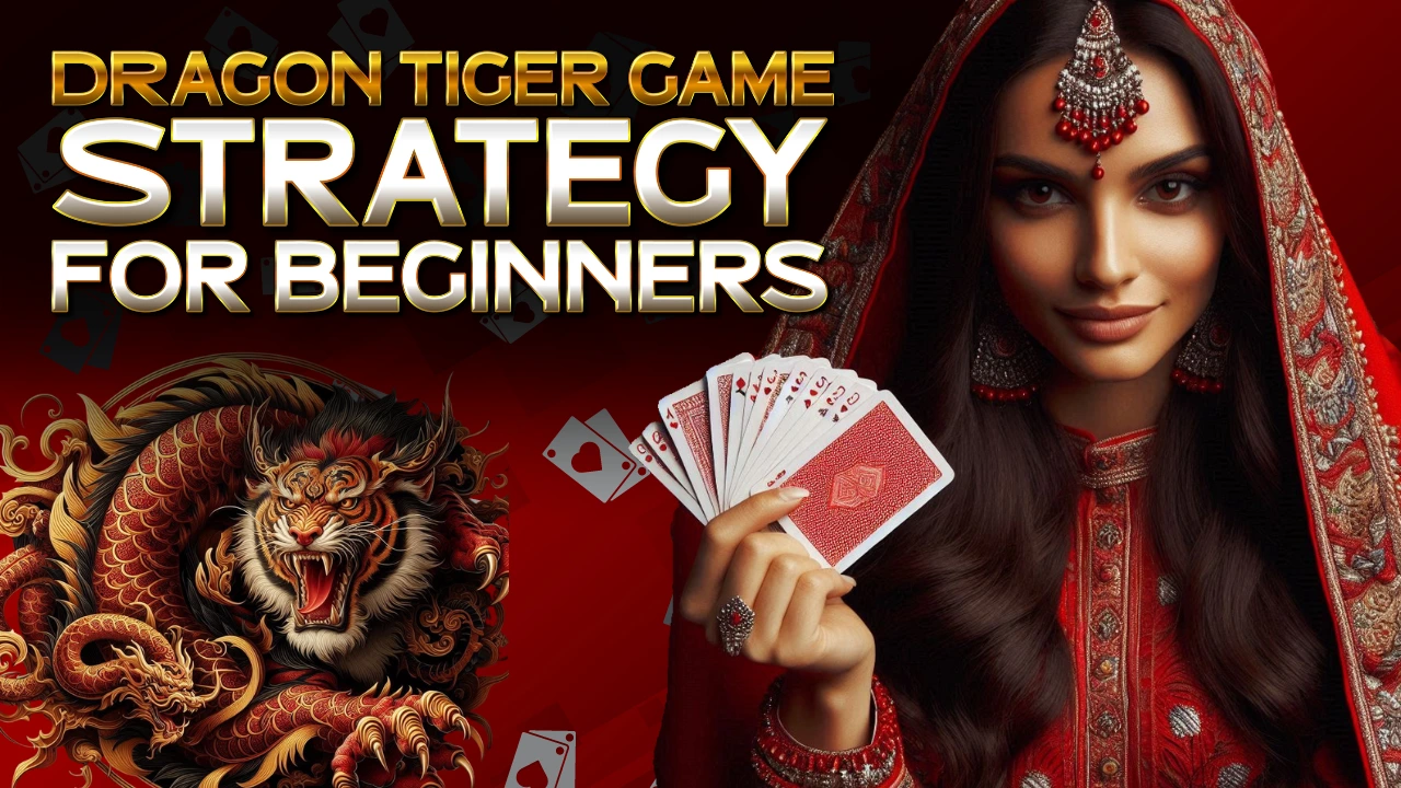 Dragon Tiger Game Strategy for Beginners