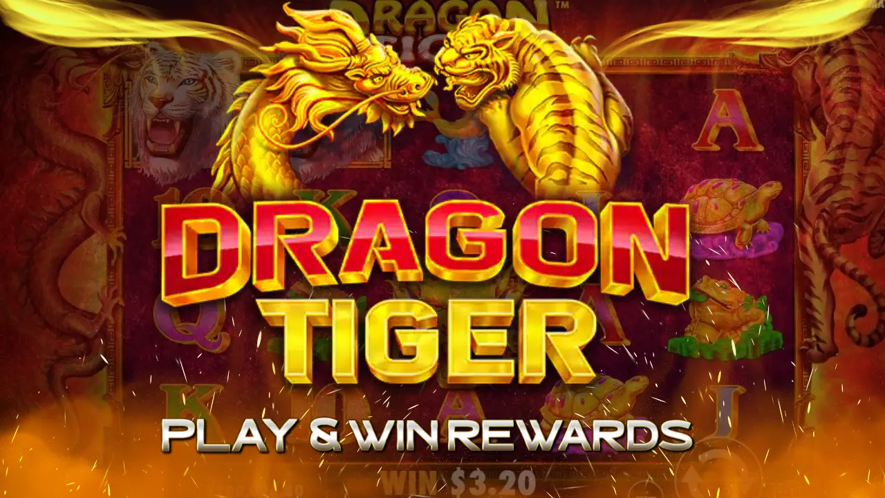 How to Win Rewards in Dragon Tiger Game