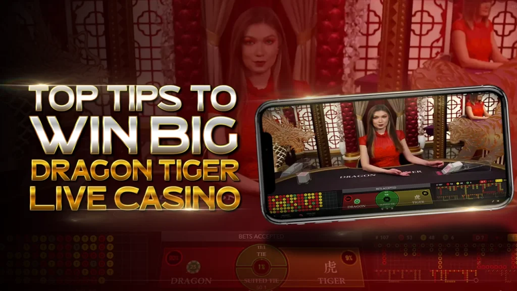 Top Tips to Win Big in Dragon Tiger Live Casino